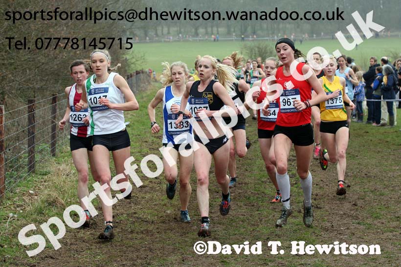 Senior womens Inter Counties Cross Country, Prestwold Hall, Loughborough. Photo: David T. Hewitson/Sports for All Pics